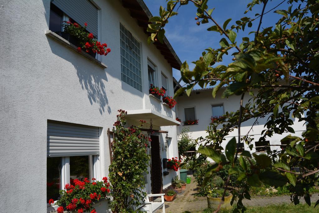 Lindenhof Hahn Apartment Blankenrath Ngoại thất bức ảnh