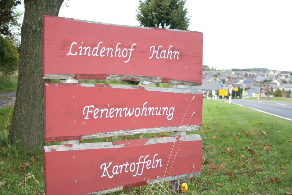 Lindenhof Hahn Apartment Blankenrath Ngoại thất bức ảnh